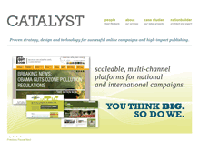 Tablet Screenshot of catalystinternet.com